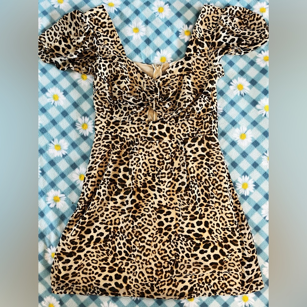 Leopard Print Mini Dress